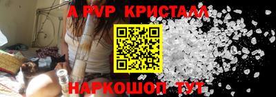 эйфоретик Тара