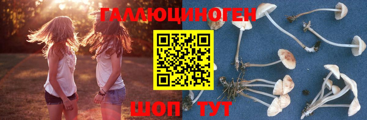 Галлюциногенные грибы MAGIC MUSHROOMS  Вход с VPN  Спасск-Дальний  Псилоцибиновые грибы Psilocybine cubensis 